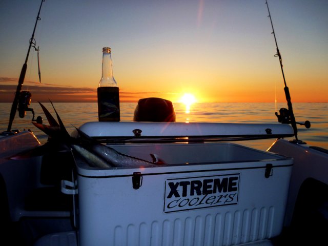 Xtreme Cooler Lovin It Xtreme Cooler Lovin It